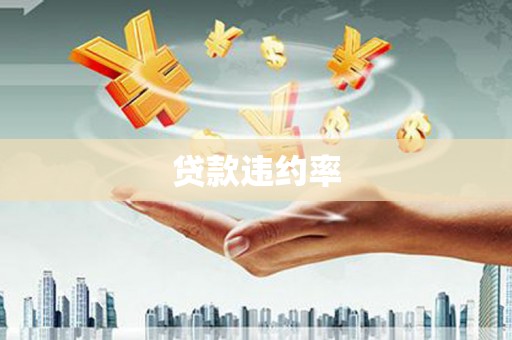 咸丰贷款违约率