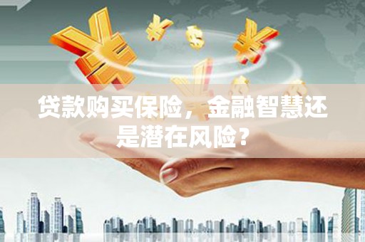咸丰贷款购买保险，金融智慧还是潜在风险？