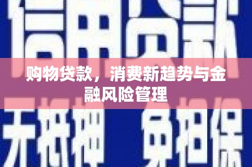 咸丰购物贷款，消费新趋势与金融风险管理