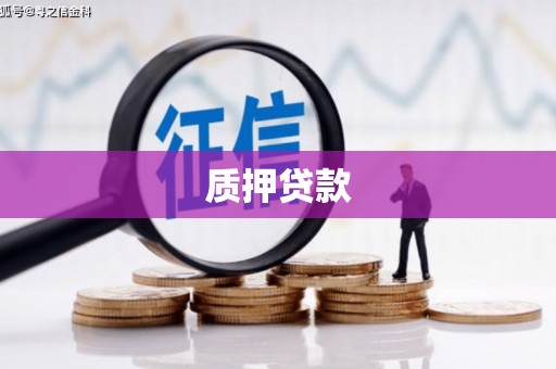 咸丰质押贷款