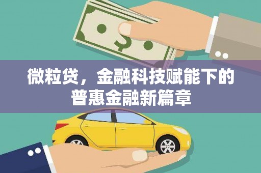咸丰微粒贷，金融科技赋能下的普惠金融新篇章