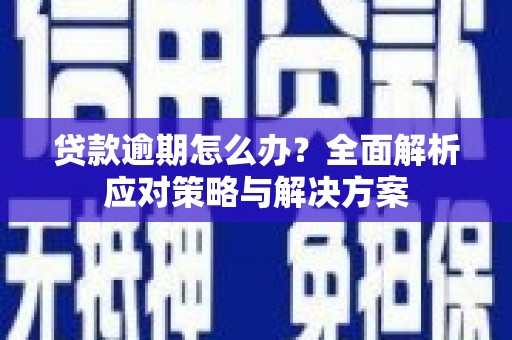 咸丰贷款逾期怎么办？全面解析应对策略与解决方案