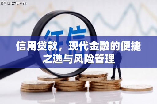 咸丰信用贷款，现代金融的便捷之选与风险管理