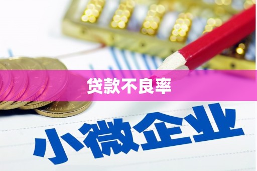 咸丰贷款不良率
