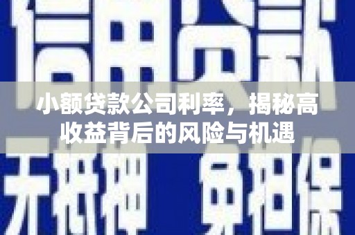 咸丰小额贷款公司利率，揭秘高收益背后的风险与机遇