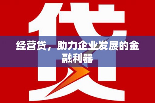 咸丰经营贷，助力企业发展的金融利器