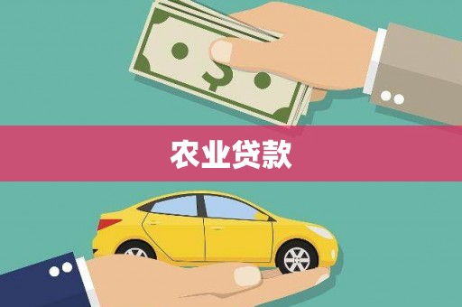 咸丰农业贷款