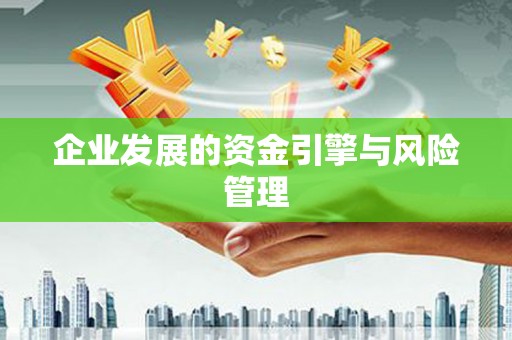 咸丰企业发展的资金引擎与风险管理
