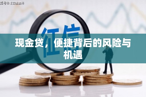 咸丰现金贷，便捷背后的风险与机遇
