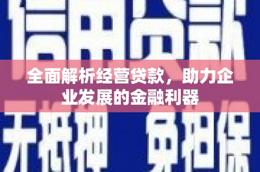 咸丰全面解析经营贷款，助力企业发展的金融利器