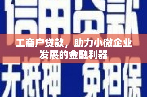 咸丰工商户贷款，助力小微企业发展的金融利器