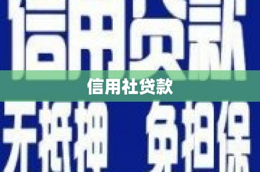 咸丰信用社贷款