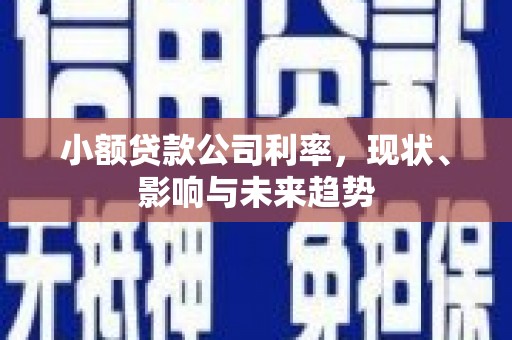 咸丰小额贷款公司利率，现状、影响与未来趋势