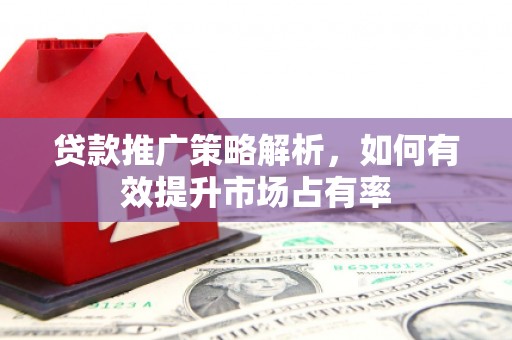咸丰贷款推广策略解析，如何有效提升市场占有率