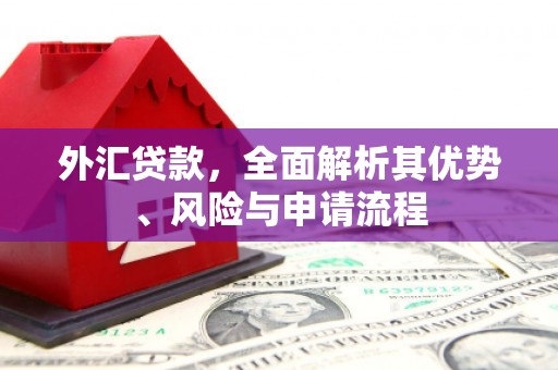 咸丰外汇贷款，全面解析其优势、风险与申请流程