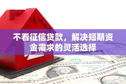 咸丰不看征信贷款，解决短期资金需求的灵活选择
