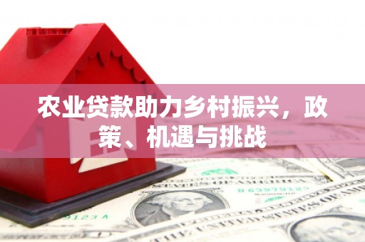 咸丰农业贷款助力乡村振兴，政策、机遇与挑战