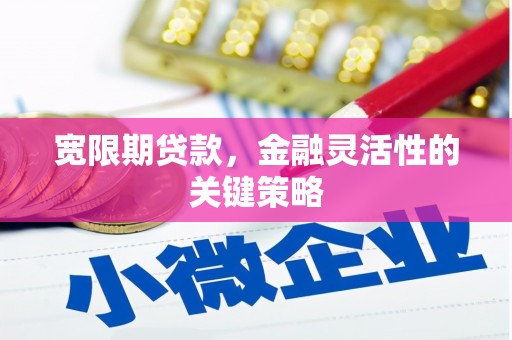 咸丰宽限期贷款，金融灵活性的关键策略