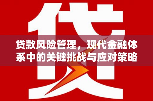 咸丰贷款风险管理，现代金融体系中的关键挑战与应对策略