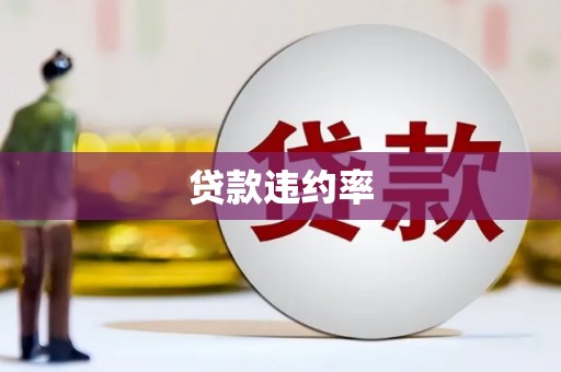 咸丰贷款违约率