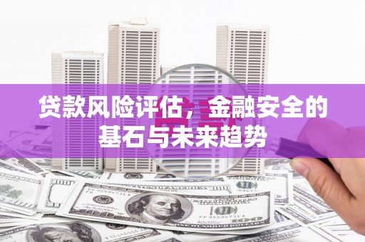 咸丰贷款风险评估，金融安全的基石与未来趋势