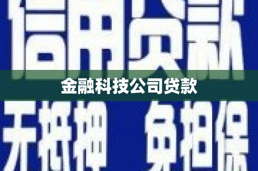 咸丰金融科技公司贷款