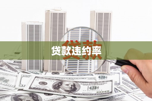 咸丰贷款违约率