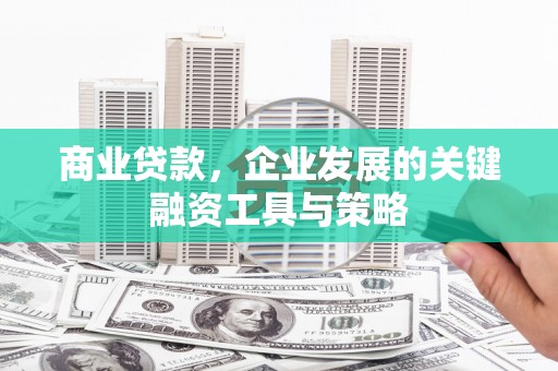 咸丰商业贷款，企业发展的关键融资工具与策略
