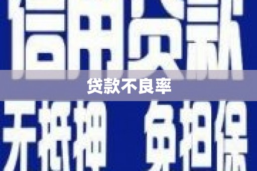 咸丰贷款不良率
