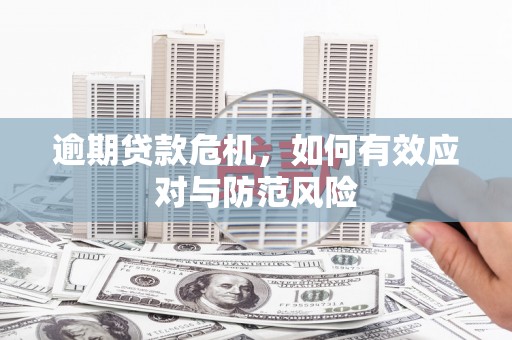 咸丰逾期贷款危机，如何有效应对与防范风险