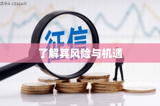 咸丰了解其风险与机遇