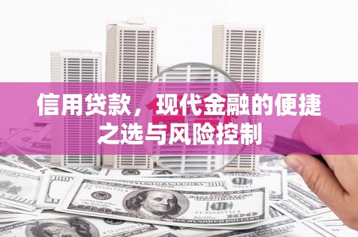 咸丰信用贷款，现代金融的便捷之选与风险控制