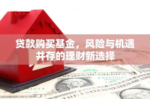 咸丰贷款购买基金，风险与机遇并存的理财新选择