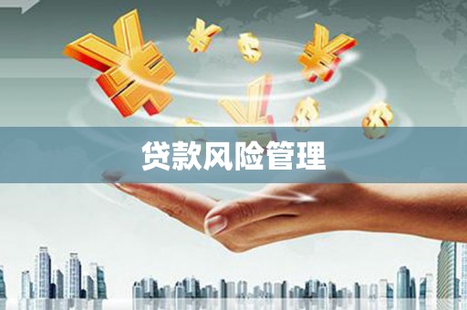 咸丰贷款风险管理