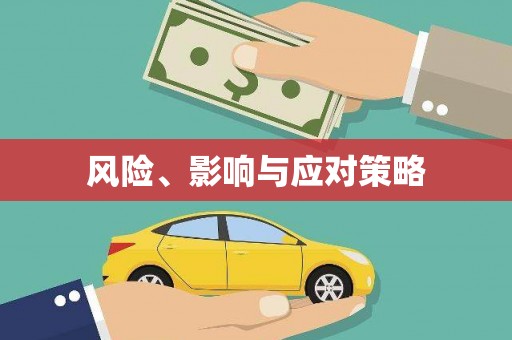 咸丰风险、影响与应对策略