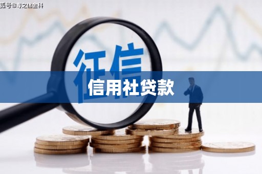 咸丰信用社贷款