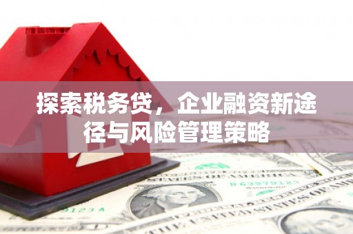 咸丰探索税务贷，企业融资新途径与风险管理策略