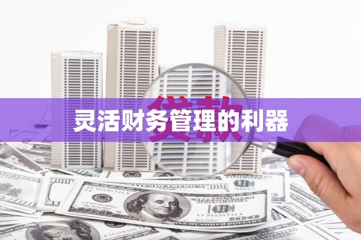 咸丰灵活财务管理的利器