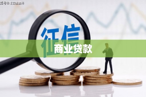 咸丰商业贷款