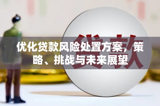 咸丰优化贷款风险处置方案，策略、挑战与未来展望