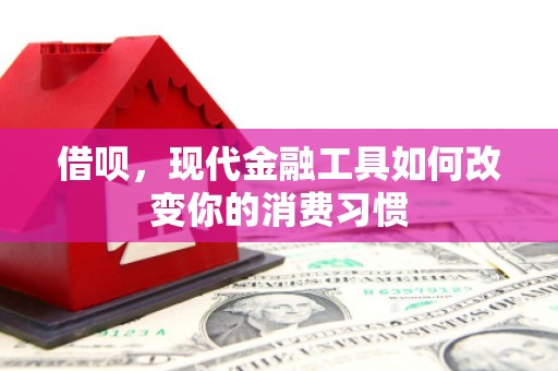 咸丰借呗，现代金融工具如何改变你的消费习惯