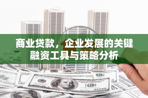 咸丰商业贷款，企业发展的关键融资工具与策略分析