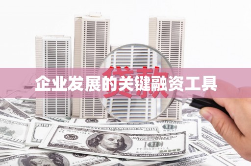 咸丰企业发展的关键融资工具
