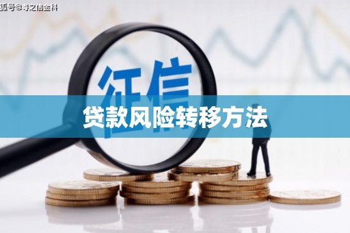 咸丰贷款风险转移方法