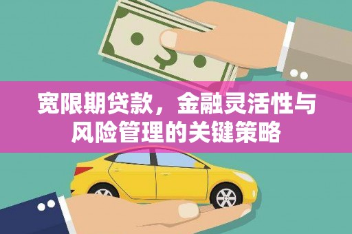 咸丰宽限期贷款，金融灵活性与风险管理的关键策略