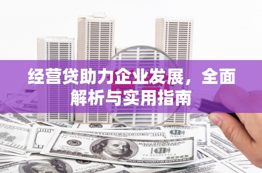 咸丰经营贷助力企业发展，全面解析与实用指南