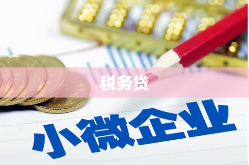 咸丰税务贷