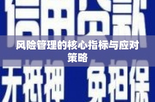 咸丰风险管理的核心指标与应对策略
