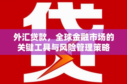 咸丰外汇贷款，全球金融市场的关键工具与风险管理策略