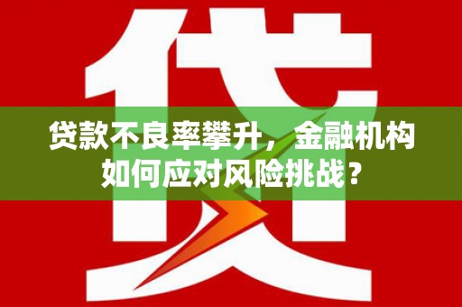 咸丰贷款不良率攀升，金融机构如何应对风险挑战？